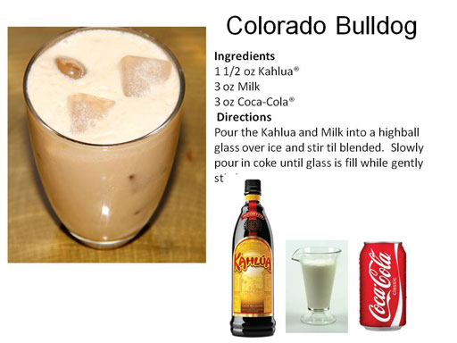bulldog